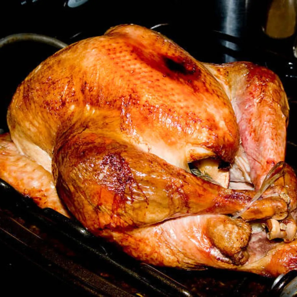 Turkey Roaster Oven - easydelishfood